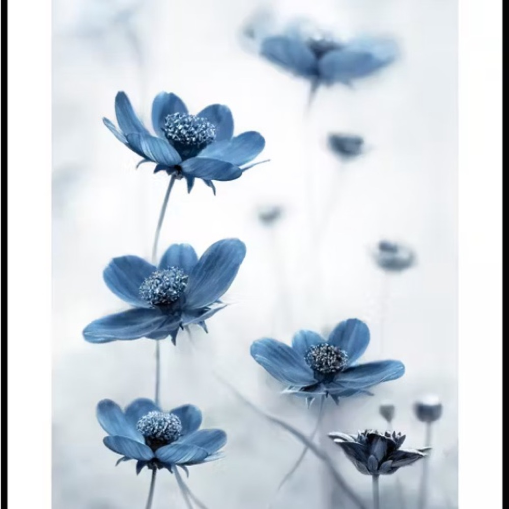 Meet your Posher, Wen